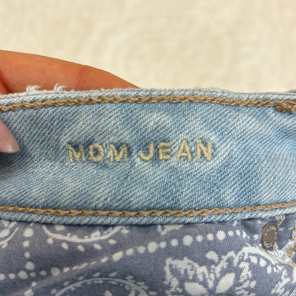 American Eagle mom jeans. Size 0. Regular length. - Picture 9 of 16